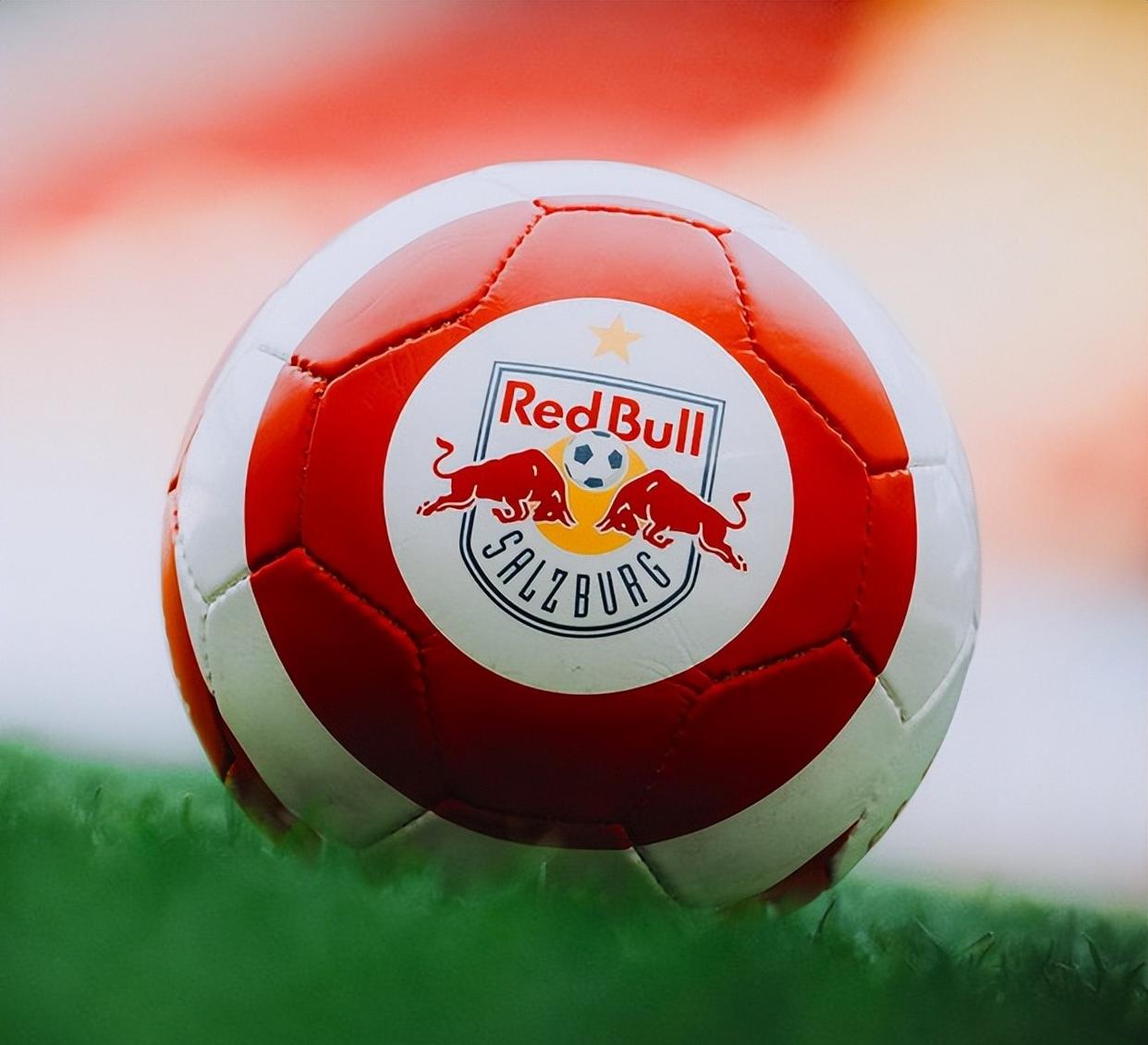 葡萄水平棚架图解